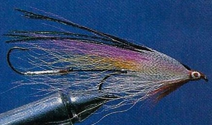 La bucktail Governor Aiken