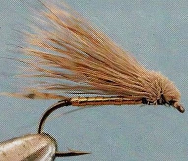 LA CADDIS-MUDDLER