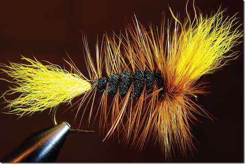 La Mouche Fétiche de Geneviève Fournier