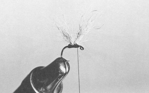 TECHNIQUE 6: LE NOEUD DEMI-CLEF