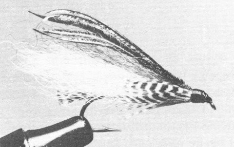 Magog Smelt