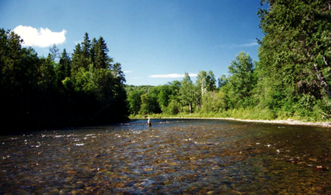 La Rivière Mitis, un Joyau du Bas-Saint-Laurent