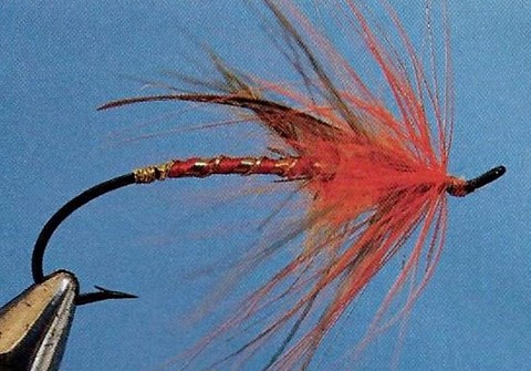 La Waterloo Spey