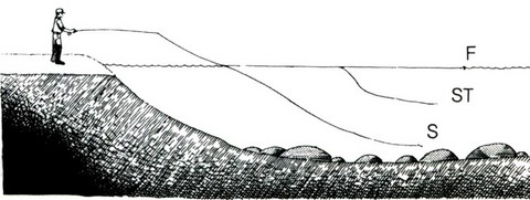 L'identification de la ligne