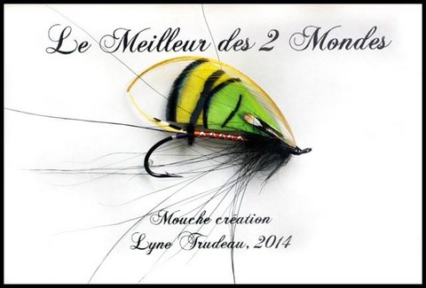 le meilleur de deux mondes