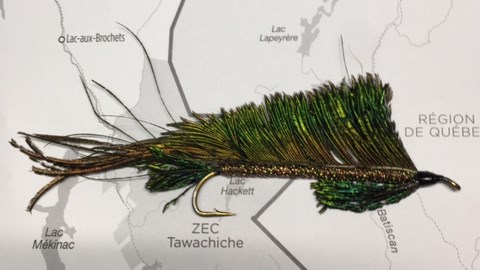 Le Sabre
