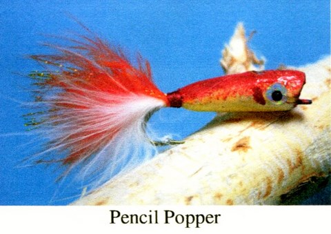 Pencil Popper