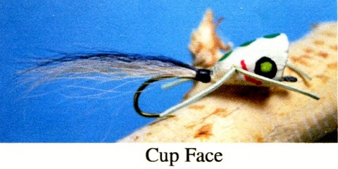 Cup Face