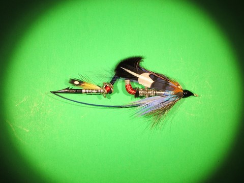 Mechanical Shark