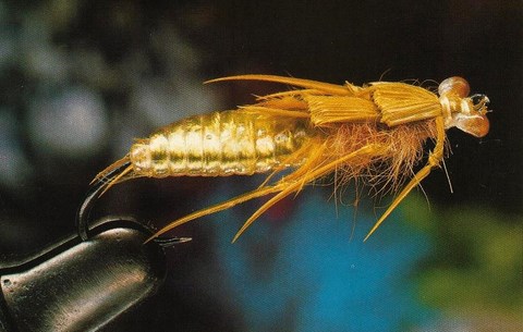 Montage d’une Nymphe "Réalistique"