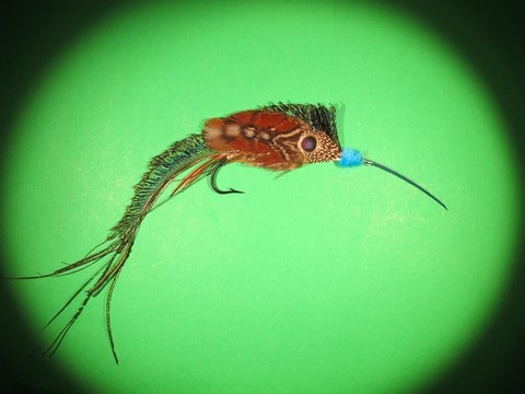 Mr Marlin