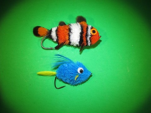 Nemo and Dori