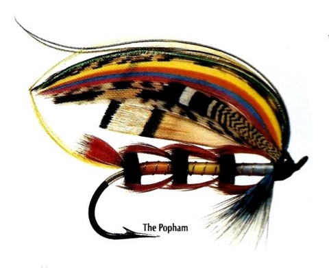 Popham Mouche par Paul Bean