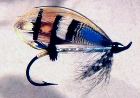 Mouches par Paul Bean