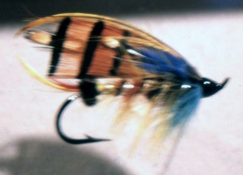 Durham Ranger, Mouches par Paul Bean