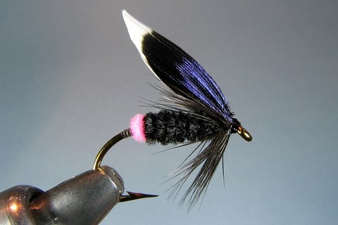 Perry