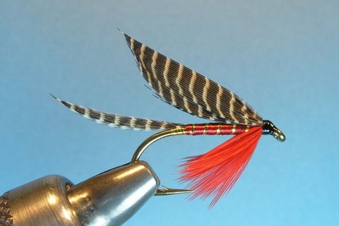 Portland Fly