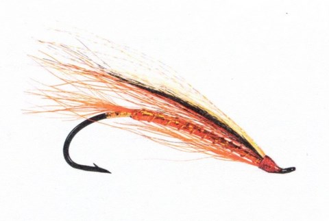 Possum Spécial Automne