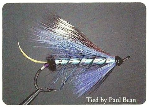 Lady Diana, Hairs Wing, Mouches par Paul Bean