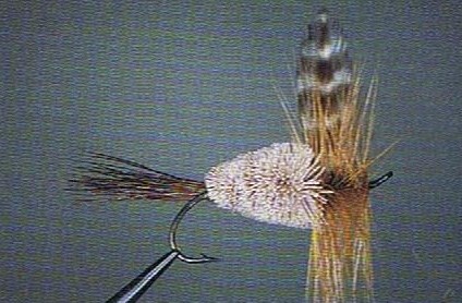 rat_faced_mcdougal