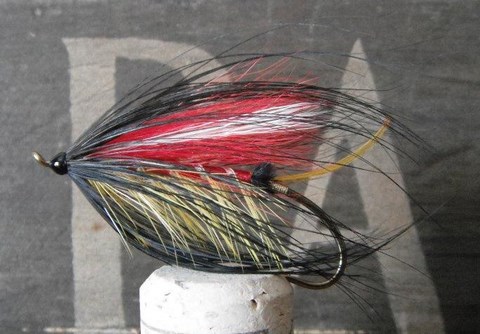 Silver Red Francis