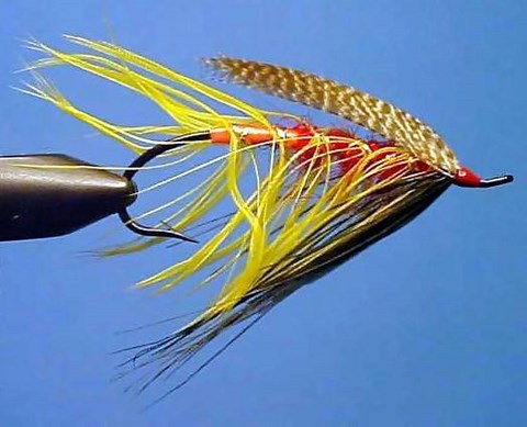 skykomish dark