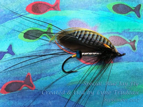 Special Blue Jay Fly