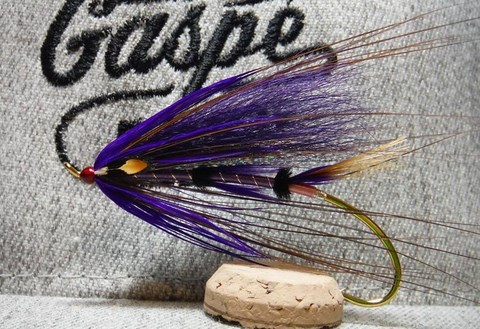 Spey HW,Fibromyalgie