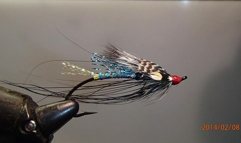 Spey québécoise; Blue Rat
