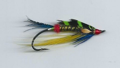 Spey québécoise; Domino Verte