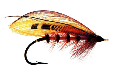 Spirit Fly