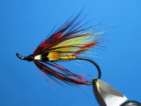 Stevenson's Wonder