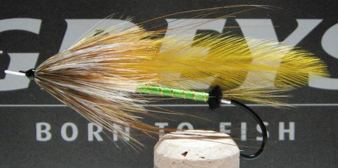streamer; 010