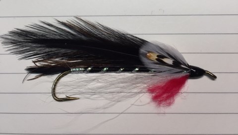 Streamer #200