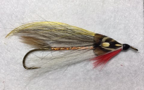 Streamer #201
