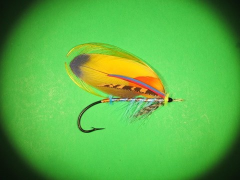The Spring fly by Blacker