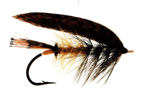 Wasp Fly
