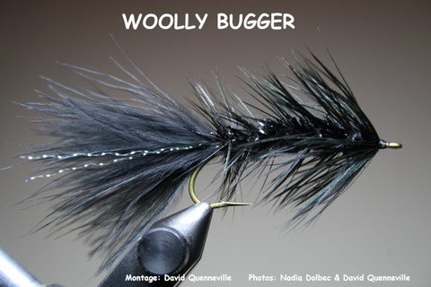 Woolly Bugger