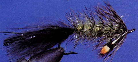 Wooly Bugger Variante