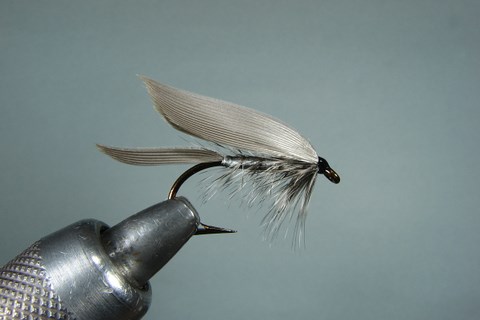 Woppinger