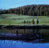 La Pêche au Pays de Yogi!..