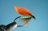 Hunt Fly
