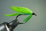 Katydid