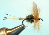 Leadwing Coachman
