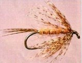 march brown spinner