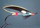 Night Hawk