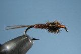 Pheasant Tail Nymph