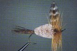 rat_faced_mcdougal