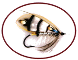 Salmon Salar, Jacques Héroux