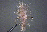 skitterbug